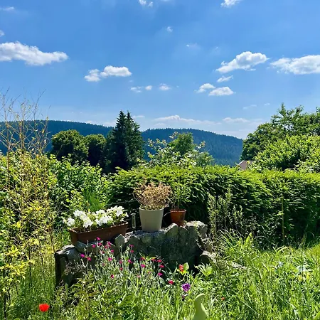 Bed & Breakfast La Ruchette 3*